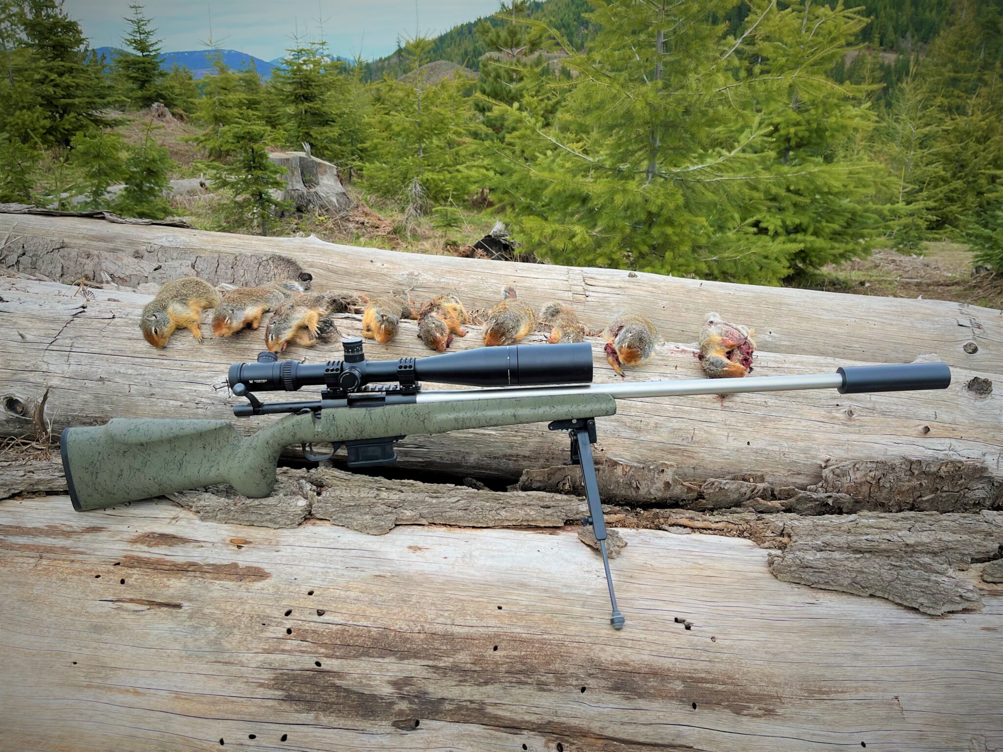 Small Varmints Choosing a Riflescope for Varmint Shooting - Inside Firearms
